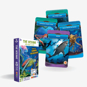 Flash Card - 4D Encyclopedia Of The Oceans
