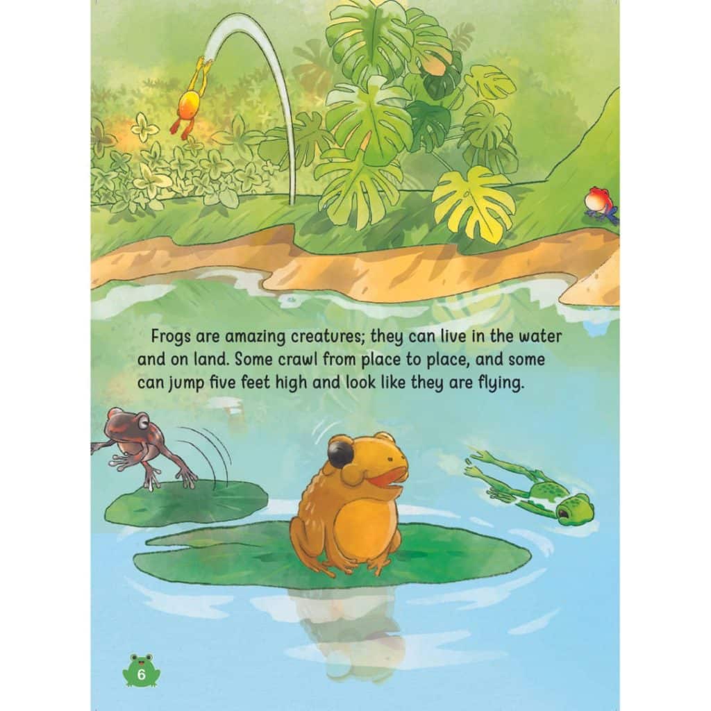 The Frog Orchestra in the Rain - Aras Ilmu